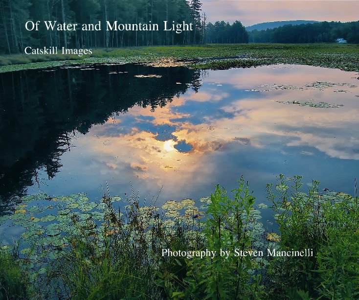 View Of Water and Mountain Light by Steven Mancinelli
