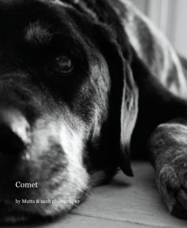 Comet book cover