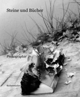 Steine und Bücher book cover
