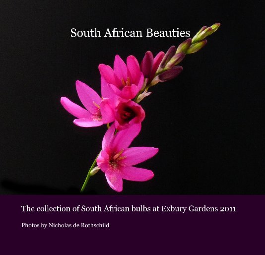 Ver South African Beauties por Photos by Nicholas de Rothschild