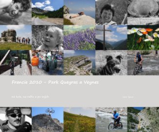 Francie 2010 - Park Queyras a Veynes book cover