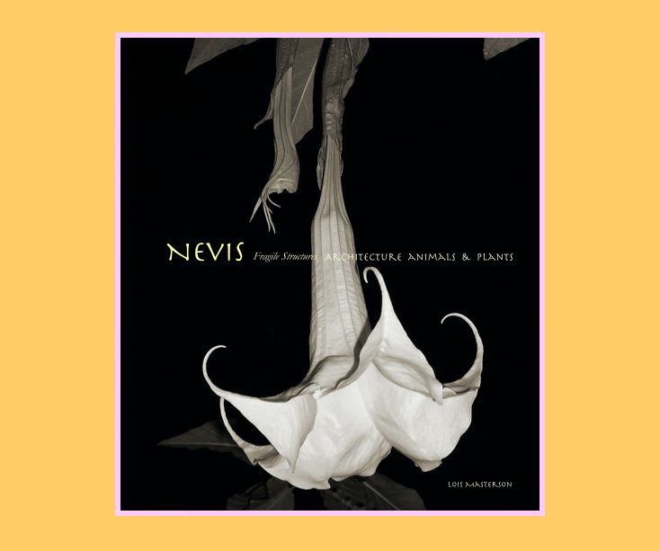 Ver Nevis: Fragile Structures por Lois Masterson