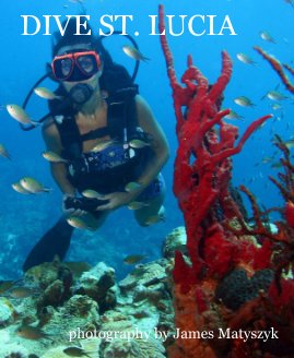 DIVE ST. LUCIA book cover