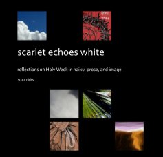 scarlet echoes white book cover