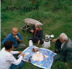 Bagheh Eyeneh book cover