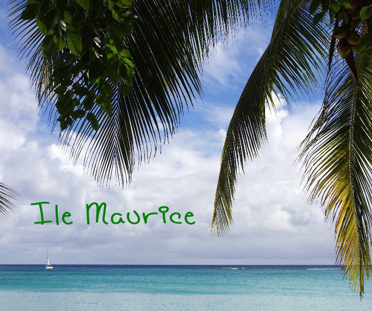 View Ile Maurice by Juan Mari