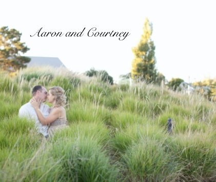Aaron and Courtney book cover
