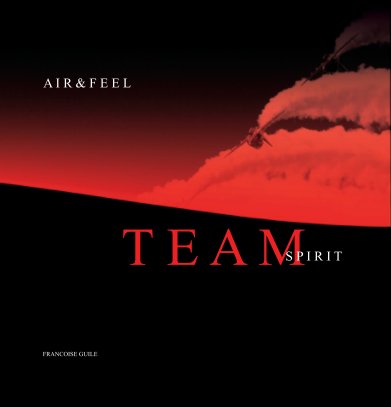 Team Spirit book cover