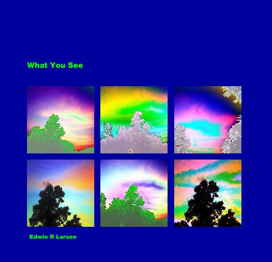 View What You See by Edwin R Larson