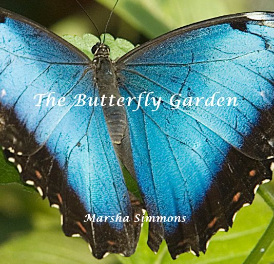 The Butterfly Garden by Marsha Blurb Books UK