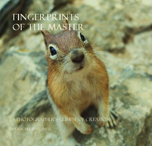 View Fingerprints of the Master by Rachel Rawlings