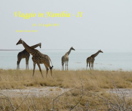 Viaggio in Namibia - II 16 - 31 Luglio 2011 book cover