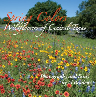 Spring Colors book cover