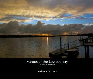 Moods of the Lowcountry book cover