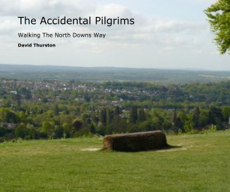 The Accidental Pilgrims book cover