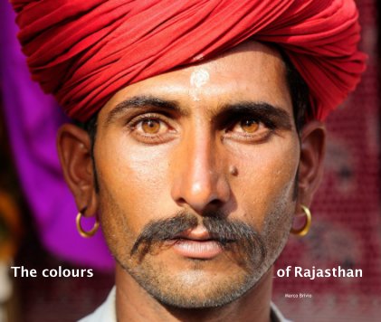 The colours of Rajasthan book cover