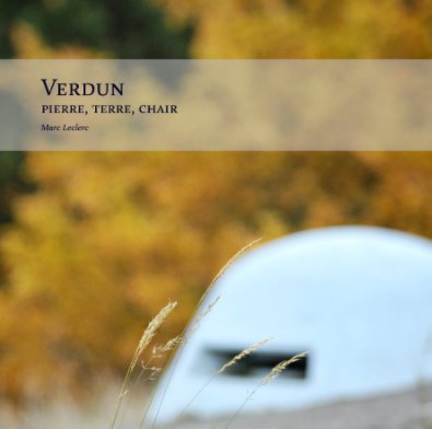Verdun book cover