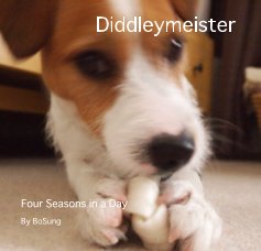 Diddleymeister book cover