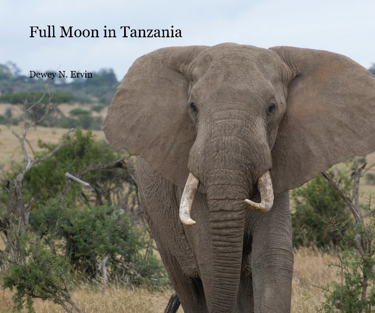 View Full Moon in Tanzania by Dewey N. Ervin