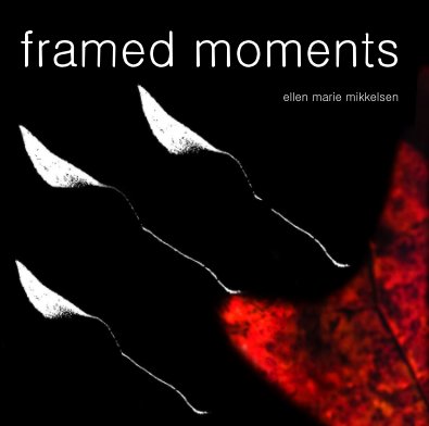 framed moments book cover
