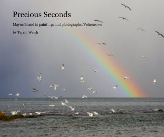 Precious Seconds book cover
