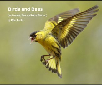 Birds and Bees book cover