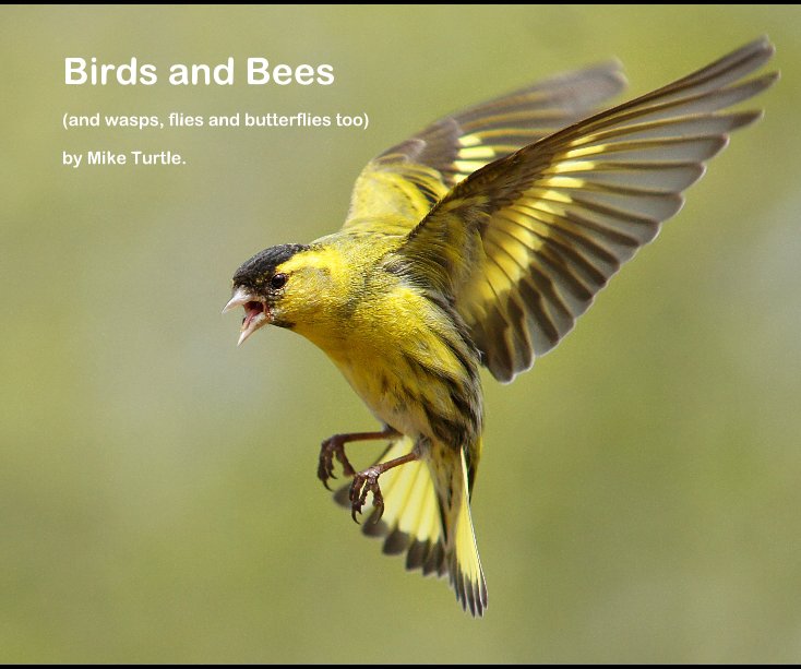 View Birds and Bees by Mike Turtle.