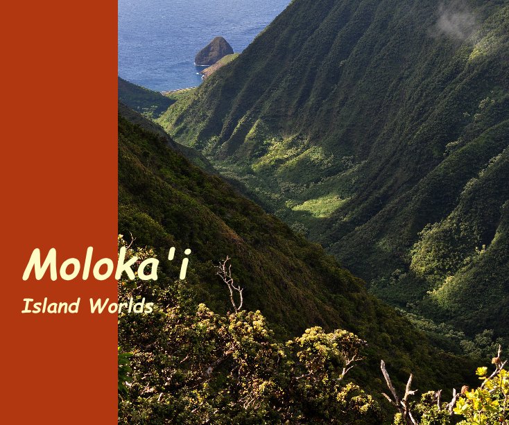 View Moloka'i by Sarah Johnson & Ward Rinehart