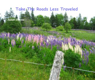 Take The Roads Less Traveled book cover