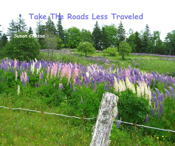 View Take The Roads Less Traveled by Susan Chessa