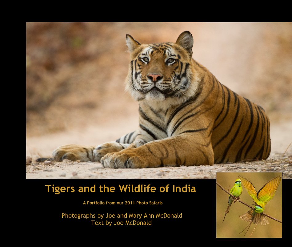 Visualizza Tigers and the Wildlife of India A Portfolio from our 2011 Photo Safaris di Photographs by Joe and Mary Ann McDonald Text by Joe McDonald