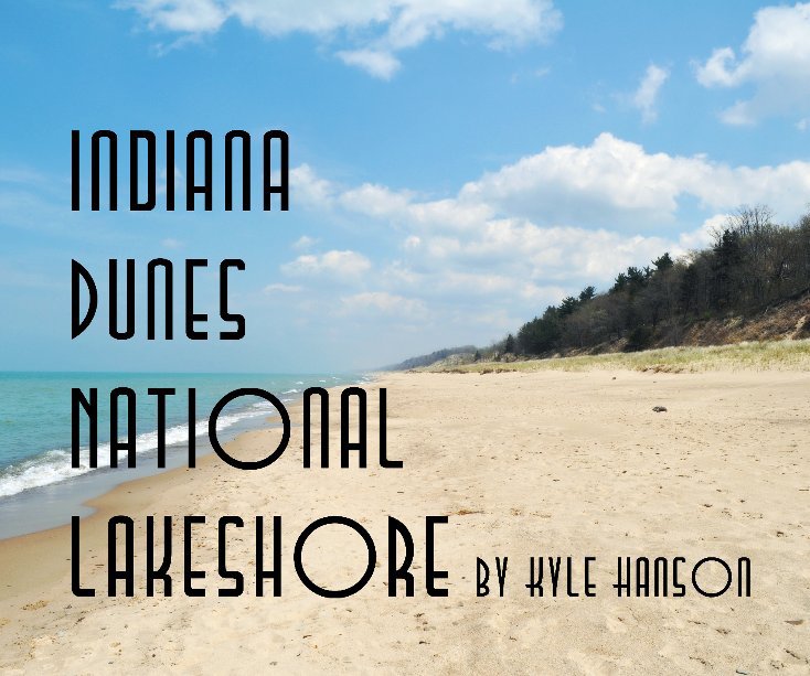 View Indiana Dunes National Lakeshore by Kyle Hanson