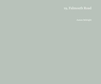 19, Falmouth Road book cover