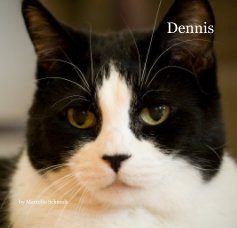 Dennis book cover