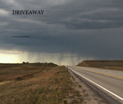 DRIVEAWAY book cover