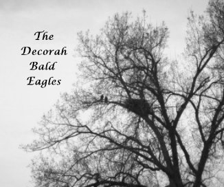 The Decorah Bald Eagles book cover