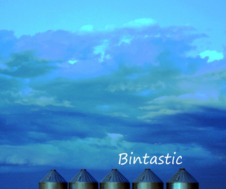 Ver Bintastic por Jo-Anne Douglas