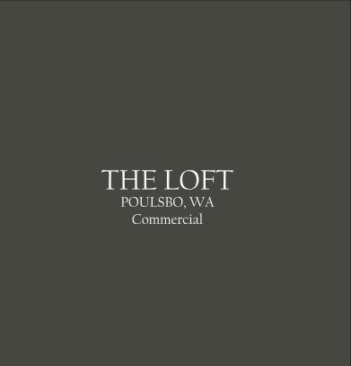 The Loft book cover