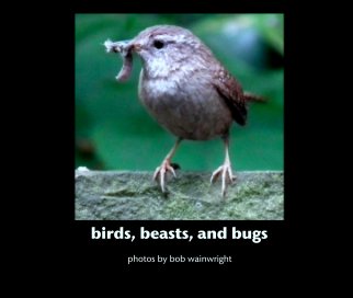 birds, beasts, and bugs book cover