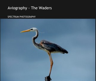 Aviography - The Waders book cover