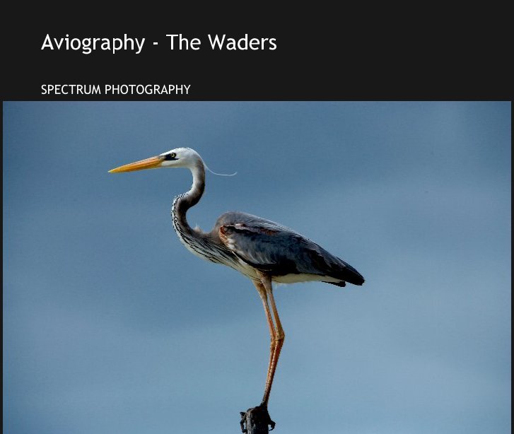 Bekijk Aviography - The Waders op SPECTRUM PHOTOGRAPHY