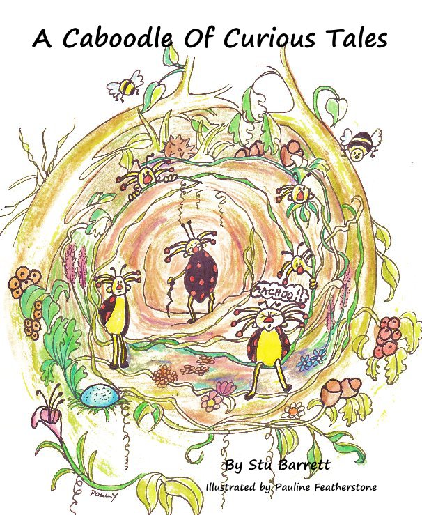 View A Caboodle Of Curious Tales by Stu Barrett Illustrated by Pauline Featherstone