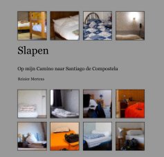 Slapen book cover