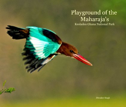 Playground of The Maharaja's book cover