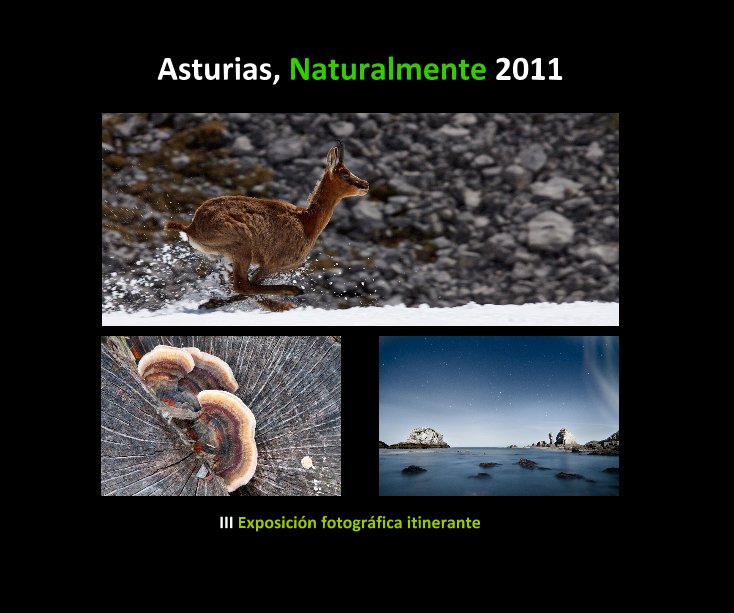 Visualizza Asturias, Naturalmente 2011 di AFONAS