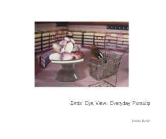 Birds' Eye View: Everyday Pursuits book cover