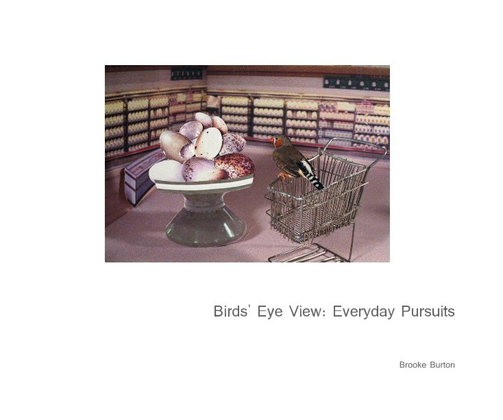View Birds' Eye View: Everyday Pursuits by Brooke Burton