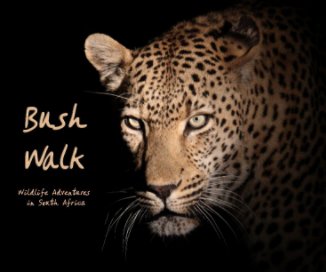 Bush Walk - Revised book cover