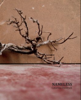 NAMELESS book cover