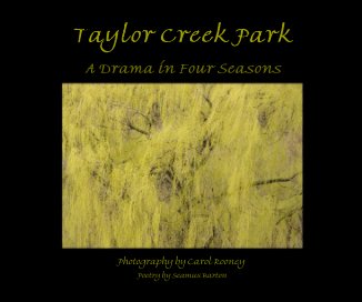 Taylor Creek Park book cover